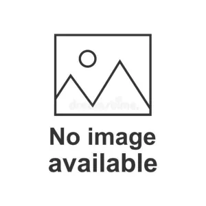 Smartwool Women's Bike Zero Cushion Ankle Socks